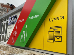 Половина пунктов экосбора «Седьмой лепесток» приостановила работу в Воронеже