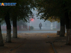 Туман и гололедица: «желтая» погодная опасность объявлена в Воронежской области