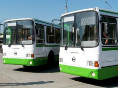 В день выборов губернатора в Воронеже будут курсировать 90 дополнительных автобусов