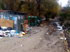 Помойный апокалипсис наступил во дворах около Глинозема в Воронеже