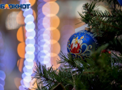 Где и когда будут продавать елки в Воронеже в 2019 году