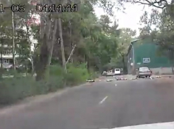 Падение дерева перед автомобилями в Воронеже попало на видео 
