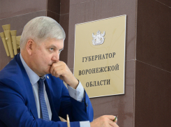 Воронежцы будут любоваться губернатором Гусевым за 800 тыс рублей