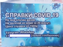 Ковидные справки за 20 минут начали продавать в Воронеже
