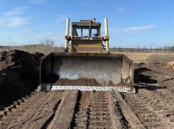 Заказник «Воронежский» изувечили бульдозером: Росприроднадзор посчитал ущерб 