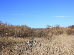 В Воронежском заповеднике местное МУП устроило свалку