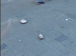 Куски карниза обвалились на тротуар в центре Воронежа