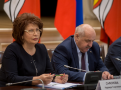 Воронежская область в 2019 году планирует потратить 100 млрд рублей