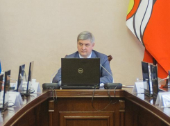 «Орленок» в Воронеже может снова «взлететь» благодаря Александру Гусеву