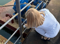 Разлив топлива на Дону: воронежские экологи взяли пробы воды после инцидента с фурой