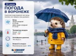 Погода продолжает устраивать воронежцам сюрпризы: прогноз погоды на три дня