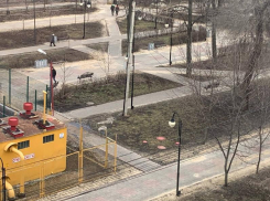 Судьбу моря песка на улицах Воронежа раскрыли в мэрии