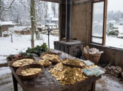 Какой драйвер роста тащил воронежскую экономику в 2025 году