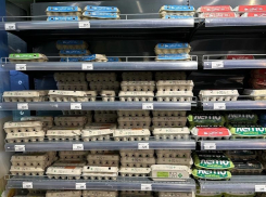 Невероятно: цены на яйца стремительно ползут вниз в Воронеже