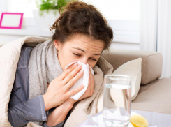    В Воронежской области возрастает заболеваемость гриппом и ОРВИ