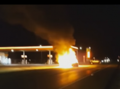 Воронежского начальника ОГИБДД отстранили от должности из-за смертельной аварии по его вине