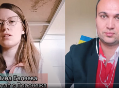 ЛДПР попросила Кирилла Левита проверить беглую депутатку из Семилук и украинского блогера