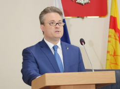 Мэр Воронежа отправился в страну аниме