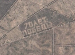Надпись из деревьев под Воронежем появилась на Google Maps