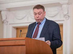 Бывший глава воронежского АИР будет курировать российские ОЭЗ