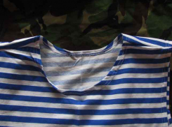 Воронежец получил тумаки за то, что носил тельняшку, не служив в армии