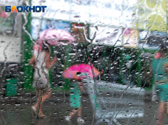 Воронеж зальет дождями с дефицитом тепла