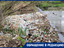 Пластиковый остров мусора сняли на фото на воронежской реке 