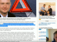 Вывести на чистую воду депутата Домнича решил известный российский блогер 