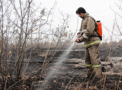 Ужасающие пожары стали причиной следственной проверки воронежских чиновников