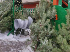 «Зависит от пушистости»: о странных расценках на новогодние елки рассказал воронежец