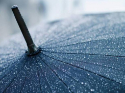На выходных воронежцев ждет потепление с дождем 