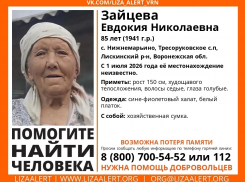  Ушла за покупками и растворилась: продолжаются поиски 85-летней женщины в Воронежской области 