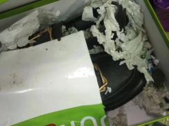 Посылку с неприятным сюрпризом получила жительница Воронежской области