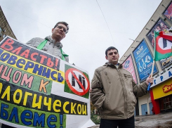 О задержании антиникелевых активистов в Воронежской области появилось видео