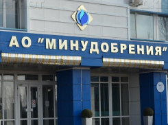 Группа Ротенберга подыскала нового менеджера для воронежских «Минудобрений»