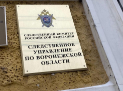 Мужчину, задушившего своего беспомощного отца-старика, будут судить в Воронеже