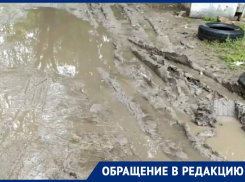 Жительница Воронежа обратилась к мэру и губернатору и требует отсыпки и ответов 