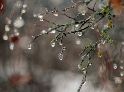 Синоптики рассказали, когда в Воронеже ослабнут морозы
