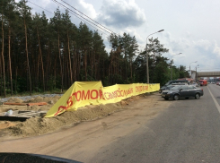 В Воронеже рядом с Олимпиком в лесу строят очередную автомойку