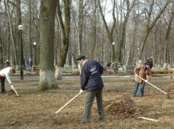 186 тысяч воронежцев своими силами убрали город