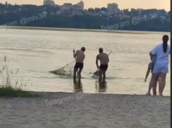 Воронежцы очистили берег водохранилища от тины