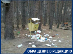 Воронежский особо охраняемый Северный лес превратился в помойку