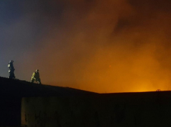 Два из трех крупных пожаров локализовали в Воронежской области