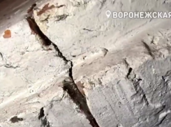 «Гуляющий» фундамент в окружении черной плесени – антиуютный дом ждет перемен в Воронеже