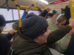 Воронежцам предложили оценить, насколько хорош в городе общественный транспорт 
