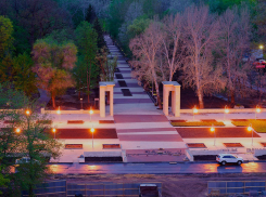 Разработчику II очереди Воронежского центрального парка дадут 3,6 млн рублей