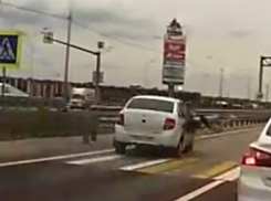 Сбивший у «Града» школьницу водитель стал фигурантом уголовного дела