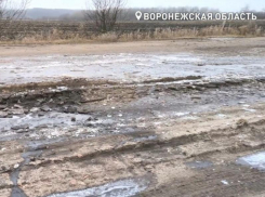 Разбитой дорогой в Воронежской области заинтересовался Бастрыкин и поручил завести дело