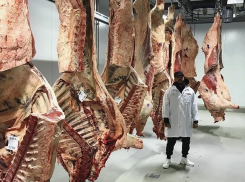 Тимати приехал в Воронеж за свежим мясом