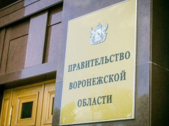 В 2016 году бюджет Воронежской области получил 126 миллионов рублей от наружной рекламы